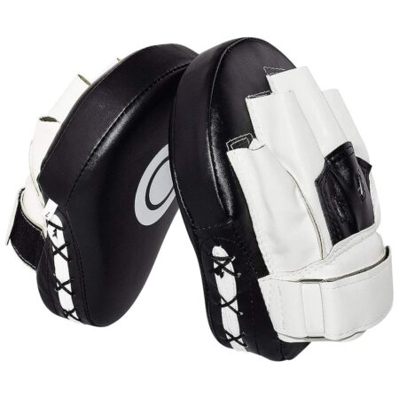 Martial arts focus pad