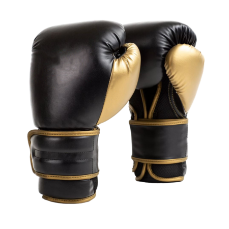 Powerlock Training Boxing Gloves