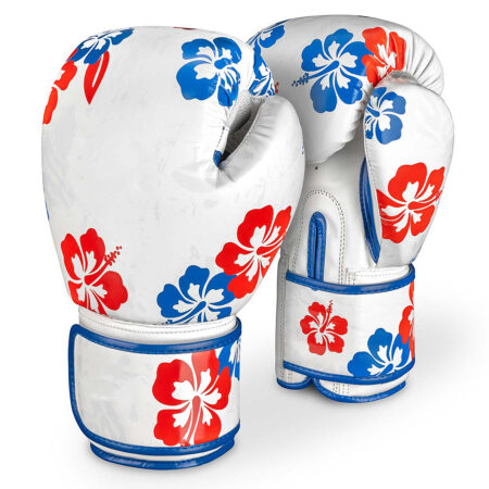 Boxing Gloves Hawaii